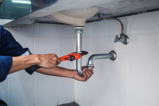 Best Emergency Plumber  in West Plains, MO